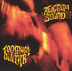 Reigning Sound : Too Much Guitar